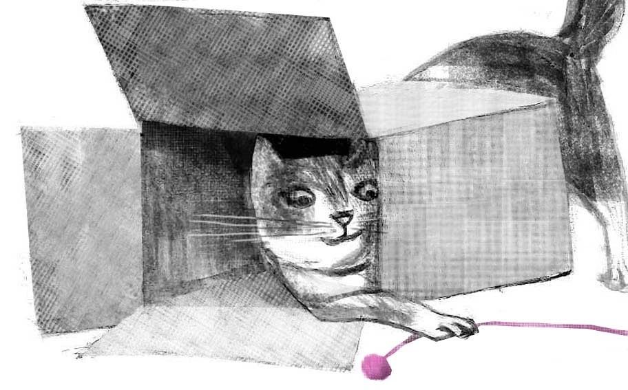 Illustration of a cat peeking out from a cardboard box with a pink toy mouse